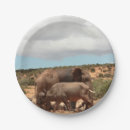 Search for photography plates Wildlife