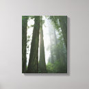 Search for tree bark canvas prints Green
