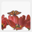 Search for full stickers Butterfly