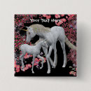 Search for foal accessories Fantasy