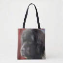 Search for dog face bags Animal