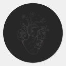 Search for cardiac nurse stickers Cardiovascular anatomy
