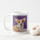 Search for corgi puppy mugs Canine