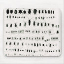 Search for specimen Bugs