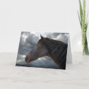 Search for equine sympathy cards Equestrian