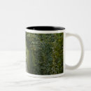 Search for attractions mugs Green