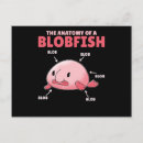 Search for statement postcards Funny