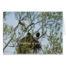 Search for home daddy cards Wildlife