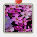 Search for wildflower christmas tree decorations Pink