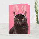 Search for black cat easter cards Pink