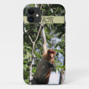 Search for borneo cases Wildlife