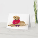 Search for golden retriever mothers day cards Puppy