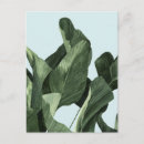 Search for tropical greenery postcards Palms