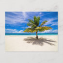 Search for maldives cards Palm tree