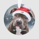 Search for bull terrier christmas tree decorations Cute