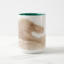 Search for tyrannosaurus mugs Jurassic