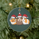 Search for guinea pig christmas tree decorations Santa