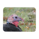 Search for kevin magnets Bird