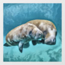 Search for manatees Ocean