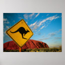 Search for ayers rock Kangaroo