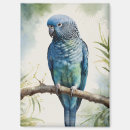 Search for parakeet magnets Parrot