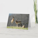 Search for hared cards Hares