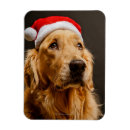 Search for people christmas cards Pets