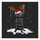 Search for christmas tree lights posters Lover