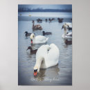Search for swan posters White