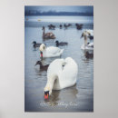 Search for white swan posters Elegant