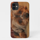 Search for yorkshire terrier puppy iphone cases Yorkie