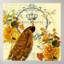 Search for french peacock art Bird