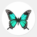 Search for butterfly drawing stickers Wildlife