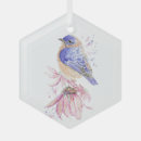 Search for bluebird decor Wildlife