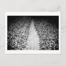 Search for two sided postcards Black and white