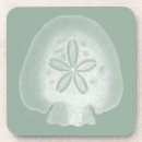 Search for shell decor coasters Sand dollar