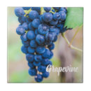 Search for grape vine tiles Wine