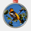 Search for oriole christmas tree decorations Black