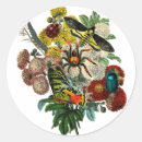 Search for bugs stickers Butterfly