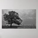 Search for black and white tree posters Monochrome