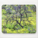 Search for renewables mousepads Renewal