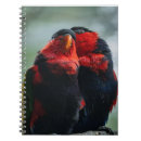 Search for ornithological Animals
