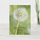 Search for dandelions cards Floral