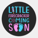 Search for fourth of july gender reveal Fireworks