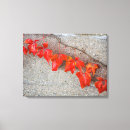 Search for bright colours canvas prints Red