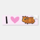 Search for guinea pig bumper stickers Animal