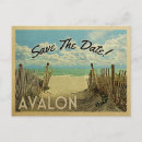 Search for avalon Beach