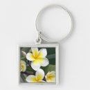 Search for frangipani key rings Plant