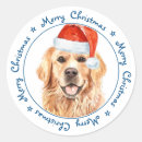 Search for golden retriever dog stickers Merry christmas