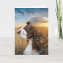 Search for springer spaniel cards Dog